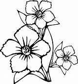 Coloring Flower Pages Flowers Printable Kids sketch template