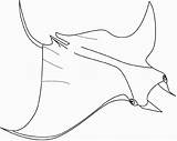 Lanternfish sketch template