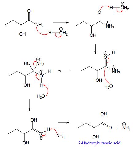 write  complete stepwise mechanism   acid catalyzed hydrolysis    amide