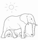 Animals Savannah Pages2color Elephant Coloring Cookie Copyright sketch template