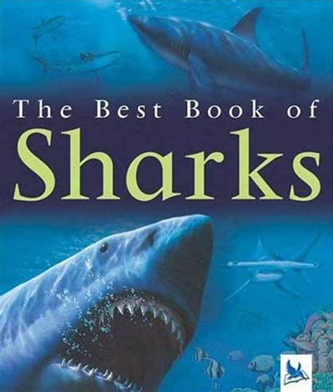 book  sharks claire llewellyn macmillan