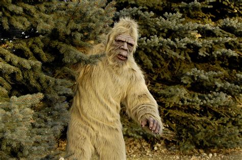 andrew callaghan meets  bigfoot research experts  minnesota