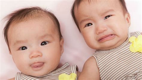 what to expect when you re having twins