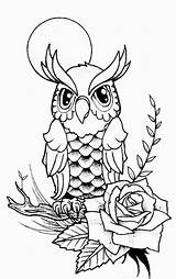 Coloring Pages Owl Fall Adult sketch template