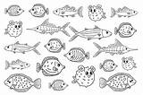 Tang Tuna Marlin Burrfish Flounder Vecteezy sketch template