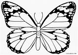 Butterfly Schmetterling Insect Zum Colouring Cool2bkids sketch template