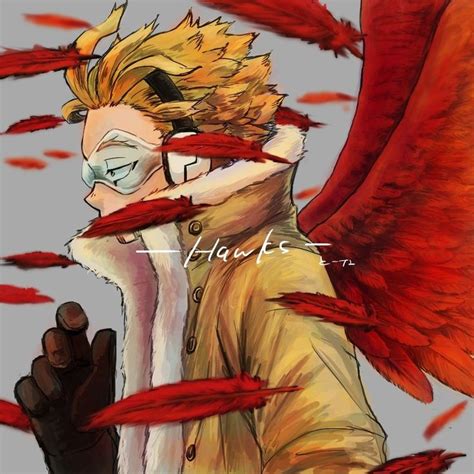 tall  hawk mha  hero academia curiosidades de hawks