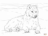 Coloring Realistic Wolf Pages Printable Adults Print sketch template