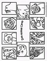 Zoo Animals Coloring Animal Pages Printable Cards1 Printables Kids Dear Color Cards Print Activity 2009 Gif Preschool Activities Book Printables4kids sketch template