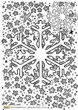 Winter Colouring Pages Adults Kids Grown Ups Printables Kiddycharts sketch template