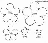Template Flower Flowers Magic Templates Coloring Camellia Printable Paper Patterns Clipart Felt Flores Para Cut Petal Diy Pages Library Easy sketch template