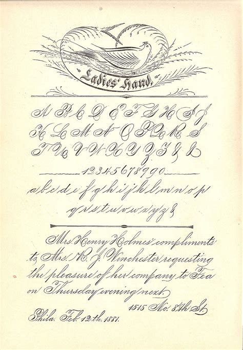 copperplate  spencerian calligraphy laura lavender calligraphy