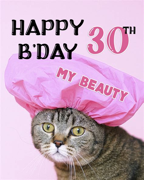 funny  years happy birthday image  cat birthdayimgcom
