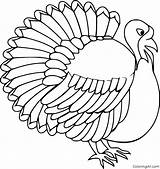 Turkey Realistic Coloring Pages sketch template