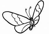 Schmetterling Motyle Mariposas Pokoloruj sketch template