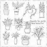 Pot Plant Coloring Plants Designlooter Doodle Drawn Sketch Illustration Vector Hand Set 02kb 450px sketch template