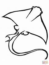 Stingray Eagle Rochen Sting Adlerrochen Healthengine Bat sketch template