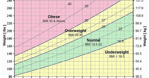 Bmi Chart For Adults To Determine Normal Obese The Best Porn Website