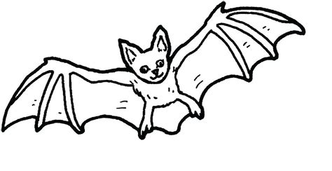 flying bat drawing    clipartmag