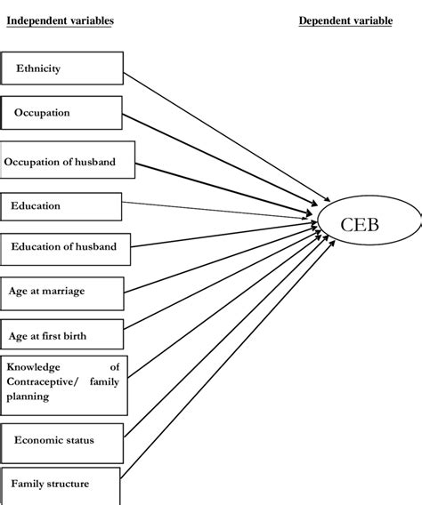 schematic diagram  conceptual framework  scientific diagram