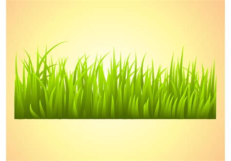 grass vector   vector art stock graphics images