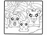 Hamster Hamsters Coloringhome Momjunction sketch template