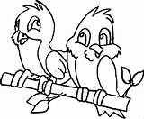 Tweety Parrot Beauyiful Ikids Clipartmag Webstockreview sketch template