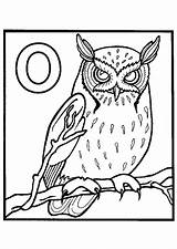 Hibou Owl Coloriage Kleurplaten Owls Hugolescargot Uil Sur sketch template