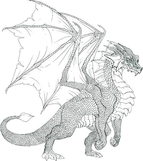 dragon coloring pages    print