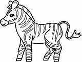 Zebra Coloritura Stripes Rana Ciclo Fumetto Strisce sketch template