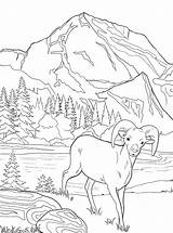 National Park Glacier Coloring Fun Kids Votes sketch template