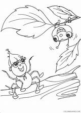 Coloring4free Coloring Pages Spider Miss Printable sketch template
