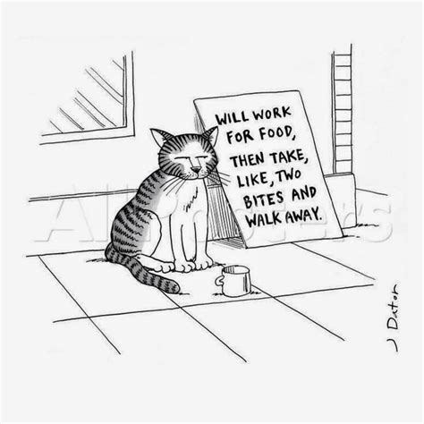 Homeless Street Cat Begging Cartoon ~ Funny Joke Pictures