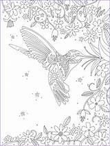 Hummingbird Preston sketch template