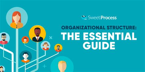 organizational structure  essential  guide