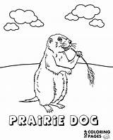 Prairie Coloring Dog Color Printable Sheet Print Animal sketch template