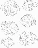 Marine Coloring Life Pages Click Printable sketch template