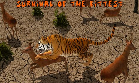 Lion Vs Tiger Wild Adventure Apk Download Free Simulation Game For