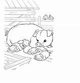 Pigs Maialini Fattoria Matite Vengono Usate Segno Dolcezza sketch template