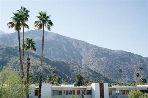 palm springs gay friendly vacation guide alltherooms the vacation