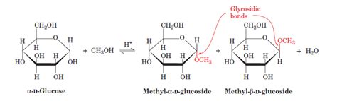 biochemistry    difference   glycosidic bond