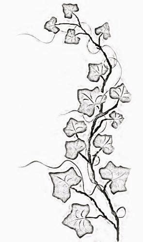 flowers and vines drawing at getdrawings free download