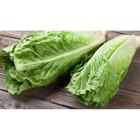 org  lettuce