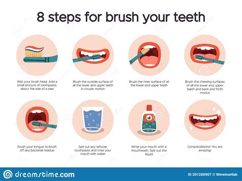dental hygiene infographic oral healthcare guide tooth brushing  dental care   brush