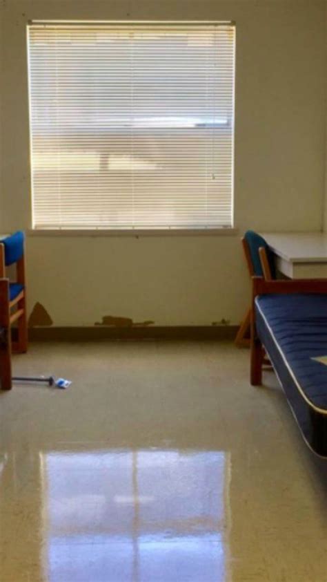 Texas State University Dorm Room Goes Viral After 10 Hour Makeover