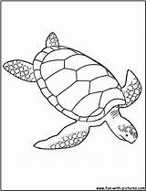 Turtle Sea Coloring Pages Print sketch template