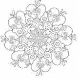 Mandala Fruit Coloring Book Review Amazon Honest Given sketch template