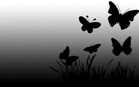 black butterfly wallpapers top  black butterfly backgrounds wallpaperaccess