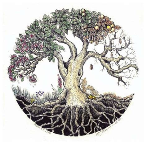 tree  life square illustration print  thegreenlanesshimmer