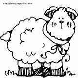 Coloring Pages Sheep Animal Color Printable Farm Animals Sheets Found sketch template